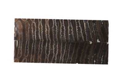 Manche de molaire de mammouth stabilisée MARRON